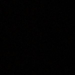 Meet your Posher, Ella